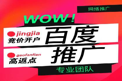 竞价推广公司案例：实战技巧与策略